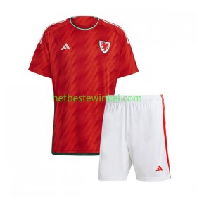 Wales Voetbalshirts Kind Thuis WK 2022(+ Korte broeken)